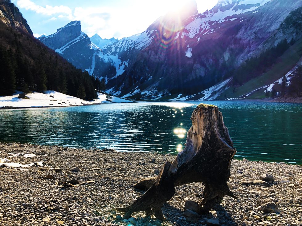 indigenous-land-acknowledgements-are-they-real-or-ungracious